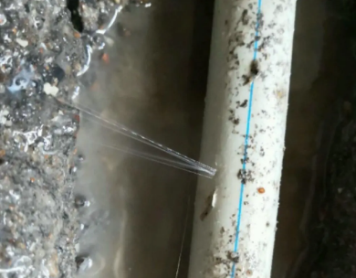 陆川测漏水哪家好