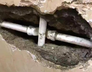 陆川测漏水哪家好