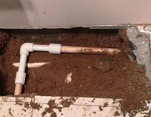 陆川测漏水哪家好