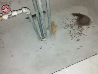 陆川卫生间测漏水价格明细