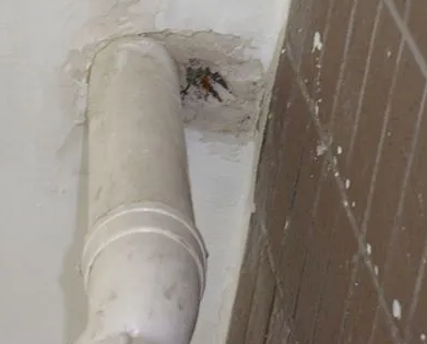 陆川漏水检测哪家好